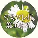 カミツレ花 葉エキス