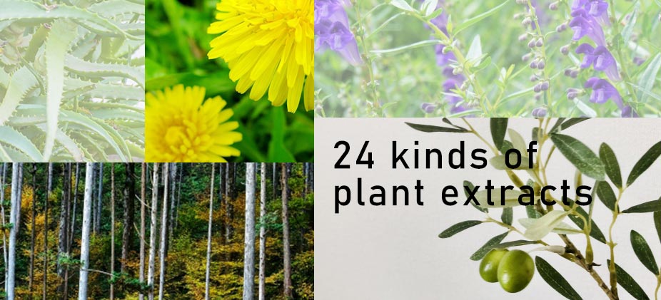 24種類の植物エキス