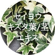 セイヨウキズタ葉/茎エキス