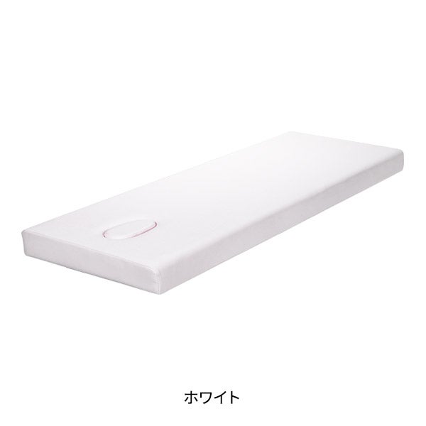 組合せ マッサージベッド (有孔)(ネジ固定脚型)(天板部のみ) 長さ190cm 
