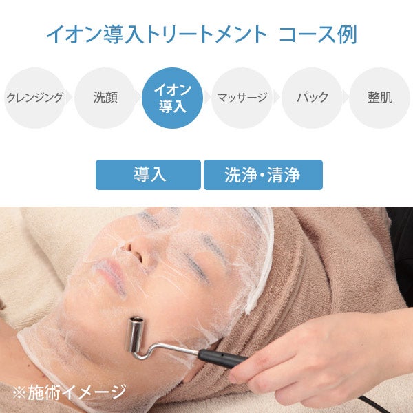 2機能美顔器 NF-302の通販｜セブンビューティー