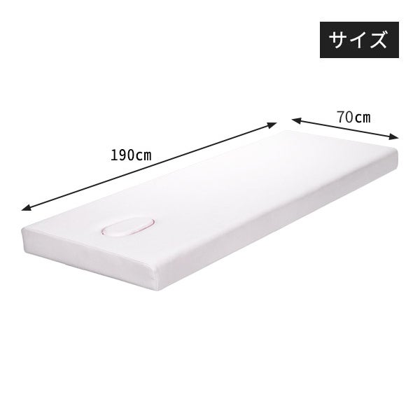 組合せ マッサージベッド (有孔)(ネジ固定脚型)(天板部のみ) 長さ190cm 