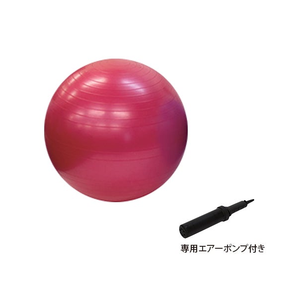 バランスボール 直径55cm TB-1295-01