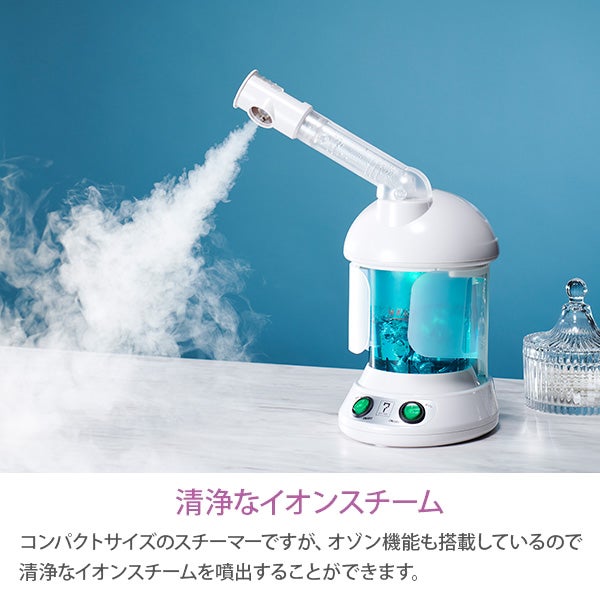 ION STEAM 美品 東日本用 業務用イオンスチーマー フェイシャル エステ