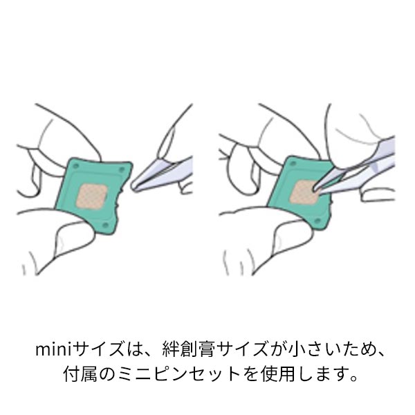 [ソマニクス] ソマセプト L 10個入り