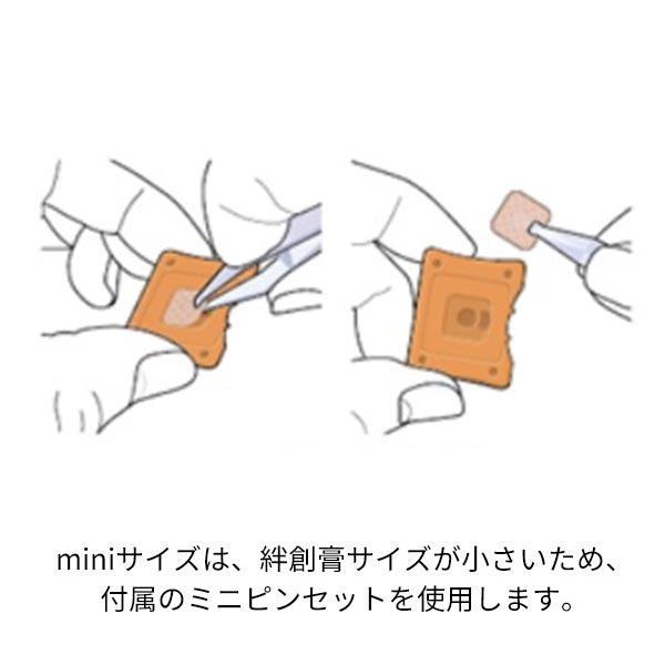 [ソマニクス] ソマレゾン L 10個入り