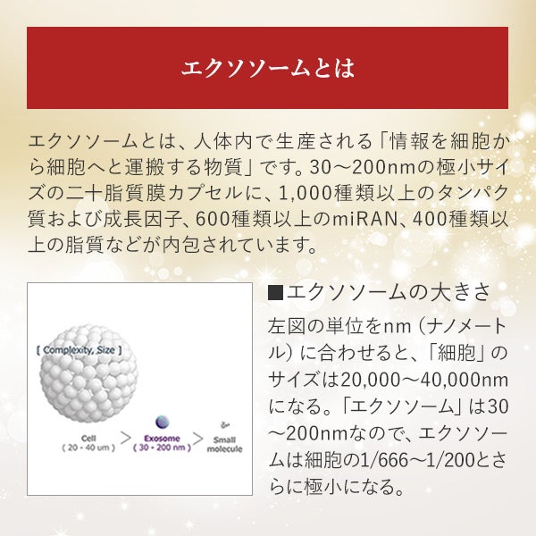 [スパトリートメント] HAS ストレッチ i シート