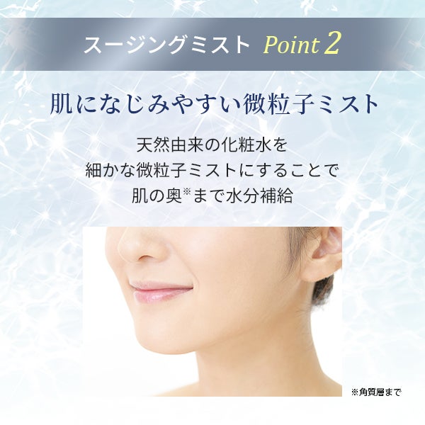 プロズビ＞ SP Program ス―ジングミスト 150mLの通販｜セブンビューティー