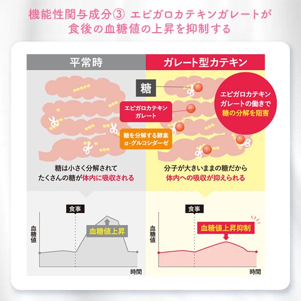 [ベルタ] スリムトリプル 60粒入り