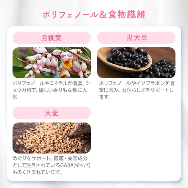 [ベルタ] ルイボスティー 1.5g×15包入り