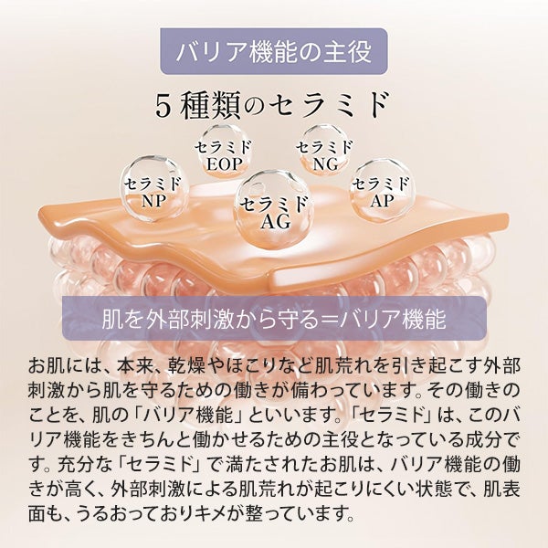 [メイクイン] バクチオール セラミド フェイスマスク 10枚入り