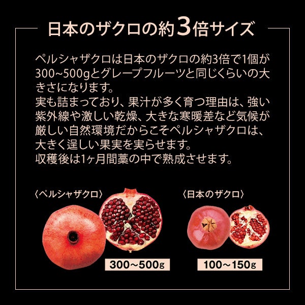 [エステプロ・ラボ] ザクロザイムペースト 30包入り