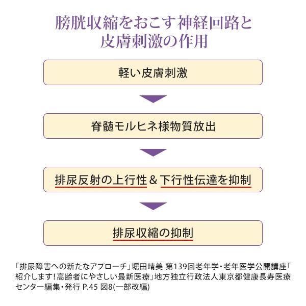 [ソマニクス] ソマプレーン 1個入り
