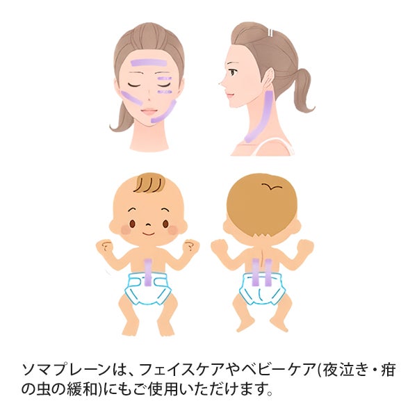 [ソマニクス] ソマプレーン 1個入り