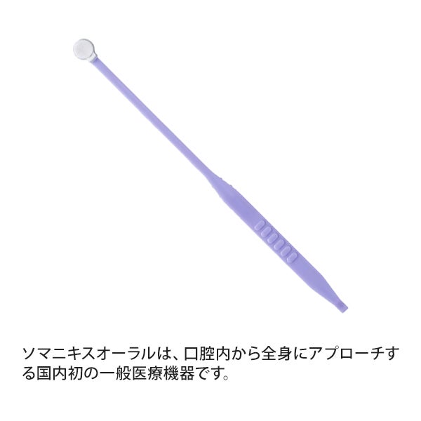 [ソマニクス] ソマニキスオーラル 10本入り (組立式)