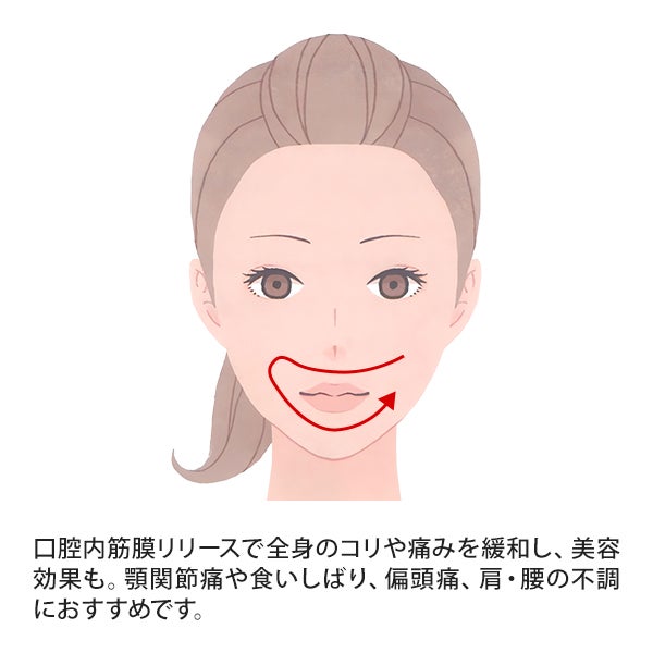 [ソマニクス] ソマニキスオーラル 10本入り (組立式)