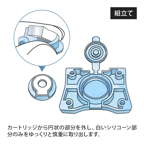 [ソマニクス] ソマニキスオーラル 10本入り (組立式)