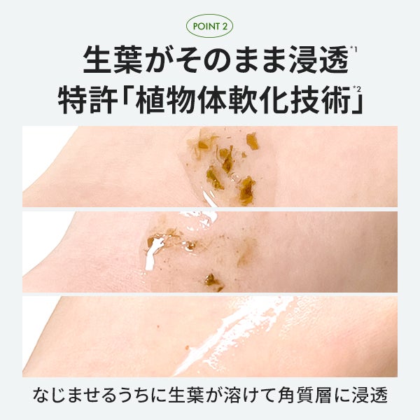 [ブランドゥブ] ヌボンセル ドクダミグリーンエナジーエッセンストナー 50g