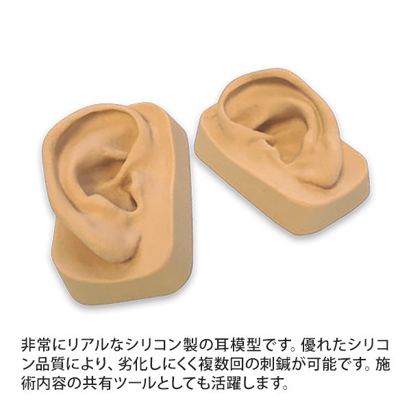シリコン耳模型 (両耳セット)