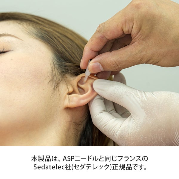 シリコン耳模型 (両耳セット)