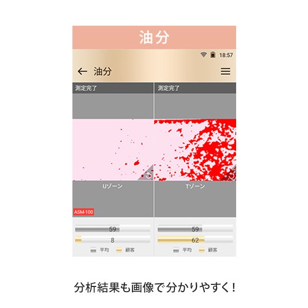 油分シート 100枚入り