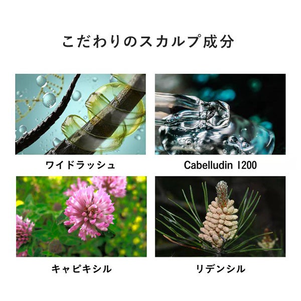 [アイム ラフロリア] モイストシャンプー 300mL