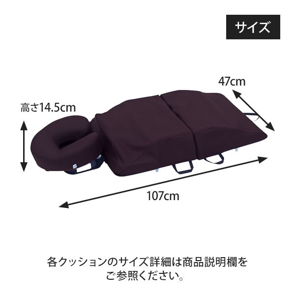 WEB限定】 [高田ベッド] ボディマットD1 TB-1663-01の通販｜セブン 