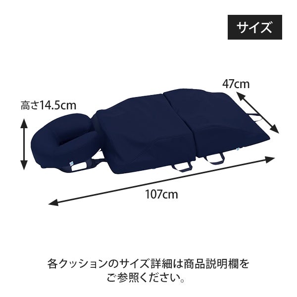 【WEB限定】[高田ベッド] ボディマットD2 TB-1663-02