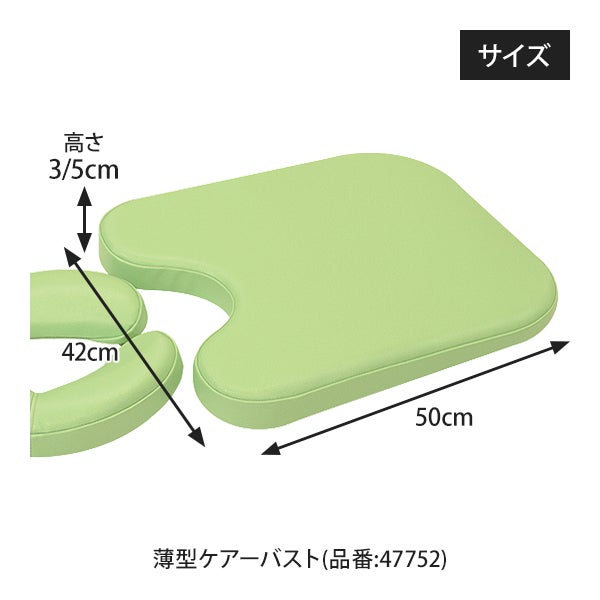 【WEB限定】[高田ベッド] ニューセットL1 TB-77C-170