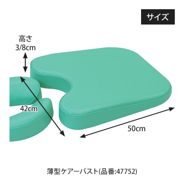【WEB限定】[高田ベッド] ニューセットL2 TB-77C-171