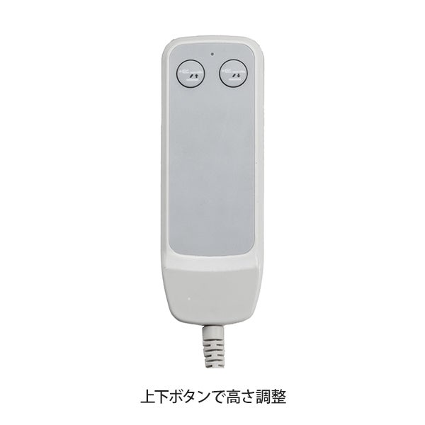 電動昇降フェイシャルベッド Elebea (エレベア) ホワイト