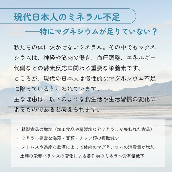 [だいじょうぶなもの] マグネシウム バスフレーク 1kg