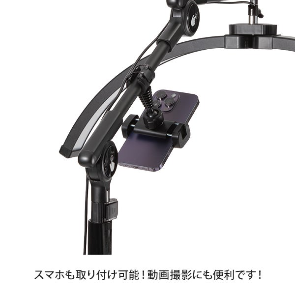 ムーン型LEDライト (トレイ付) ブラック