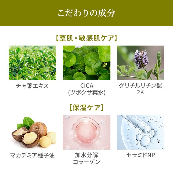 [SEVEN BEAUTY PRO] 緑茶マッサージクリームR 450g