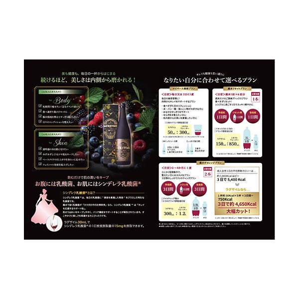 [SEVEN BEAUTY] LUXZYME (ラグザイム) 酵素ドリンク パンフレット