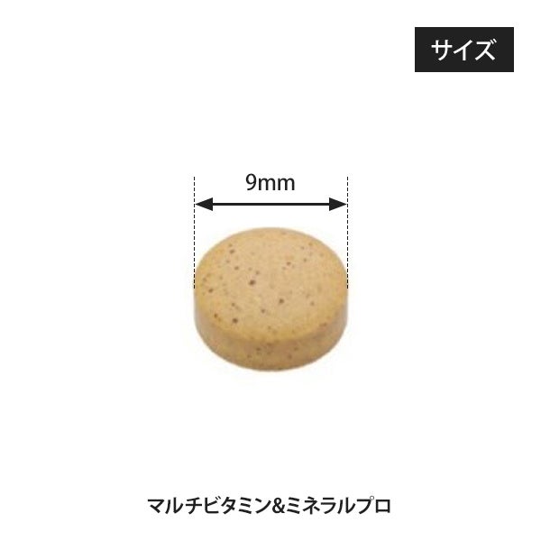 [BODY PURE] 夏バテ対策セット