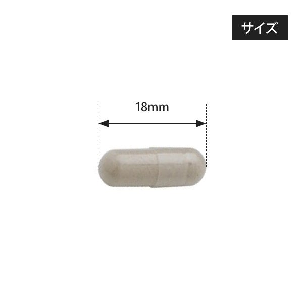 [BODY PURE] ミルクシスル 90カプセル