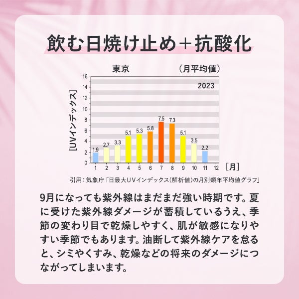[BODY PURE] 紫外線対策セット