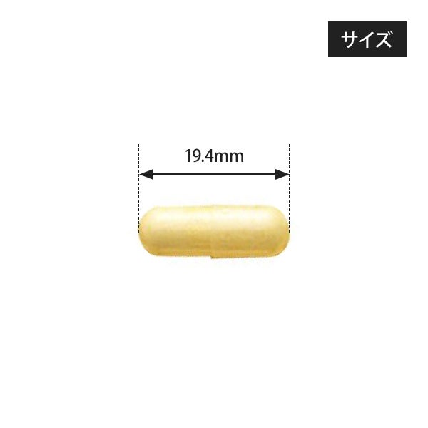 [BODY PURE] ビタミンC 60カプセル