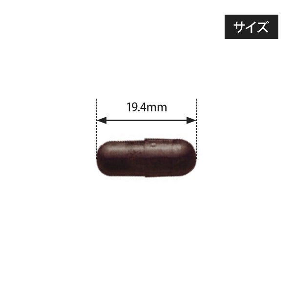 [BODY PURE] ヘム鉄 60カプセル