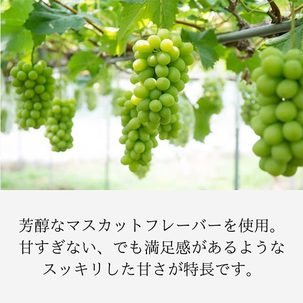 [NATUMEDICA] トリプルファイバー 30本入り