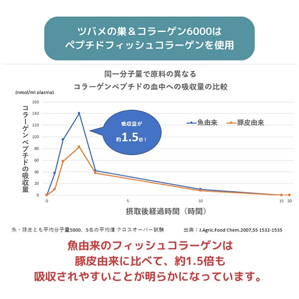 [NATUMEDICA] ツバメの巣＆コラーゲン6000 10本入り