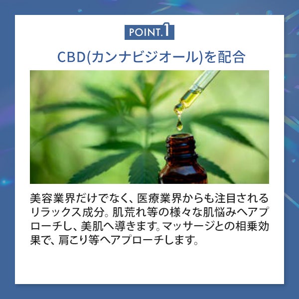 【WEB限定】[ミシレルト] プロフィット マッサージフィトローション プレミアム 1000mL