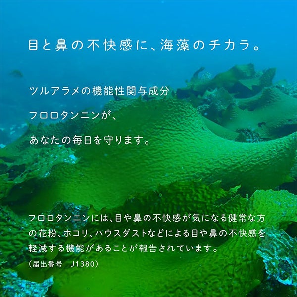 [だいじょうぶなもの] 海藻サプリメント ツルアラメ 60粒入り