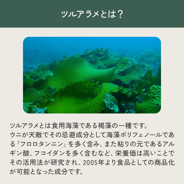 [だいじょうぶなもの] 海藻サプリメント ツルアラメ 60粒入り