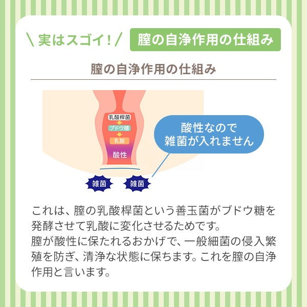 Dr.フェミニンクリア 10本入り