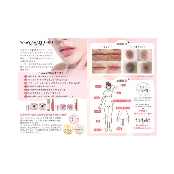 [アメーズピンク] パンフレット