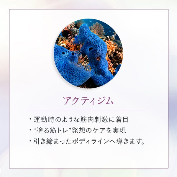 [エステラボ] RFクリーム 2L