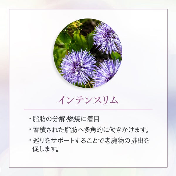 [エステラボ] RFクリーム 2L