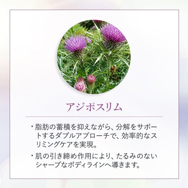 [エステラボ] RFクリーム 2L